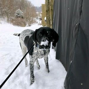 Meet your Posher, Alec